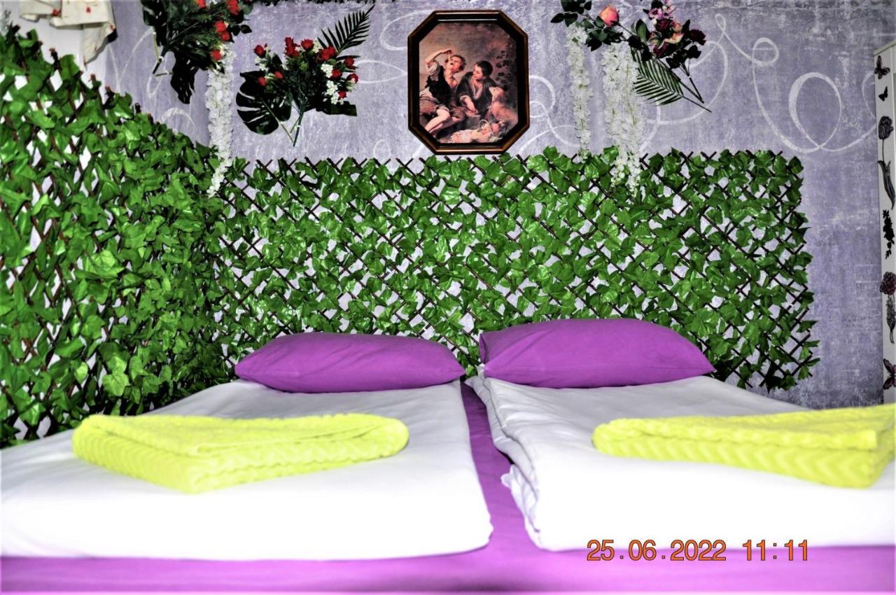 Social Guest House Sofia Luaran gambar
