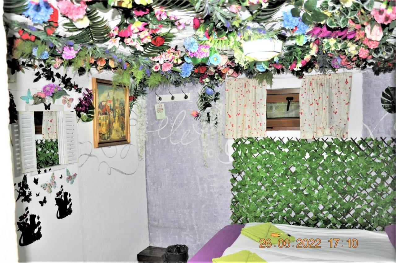 Social Guest House Sofia Luaran gambar
